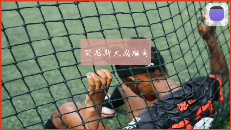 突尼斯大战缅甸