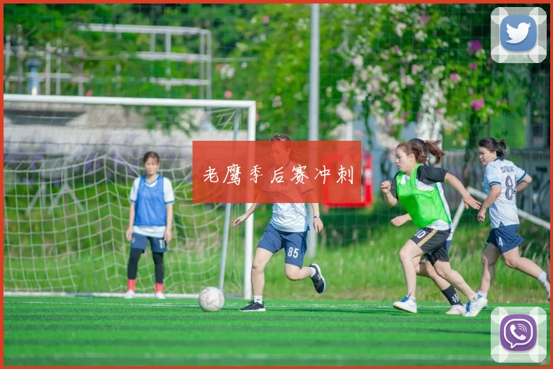 老鹰季后赛冲刺
