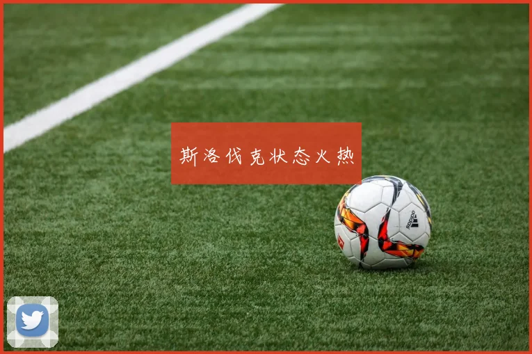 斯洛伐克状态火热