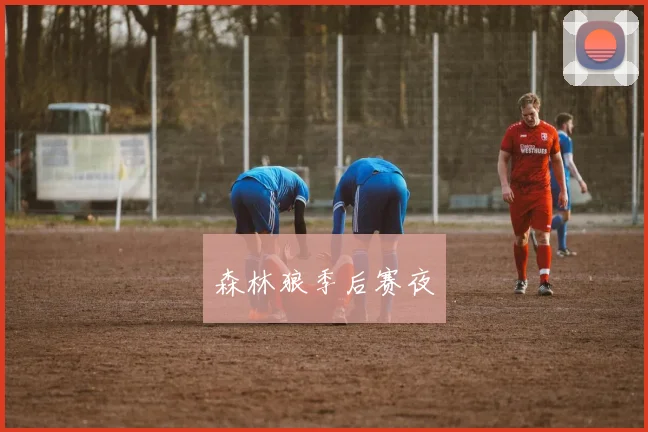 森林狼季后赛夜