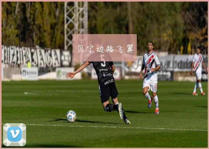 贝宁边路飞翼