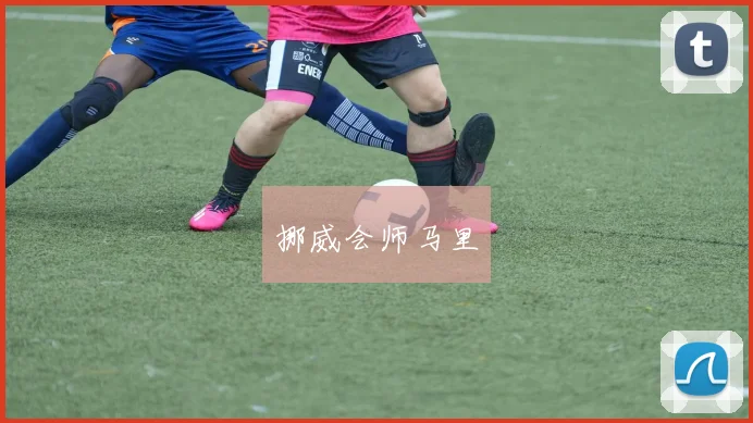 挪威会师马里