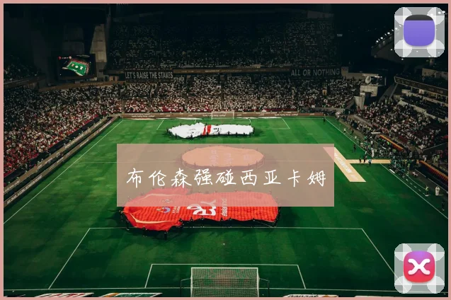 布伦森强碰西亚卡姆
