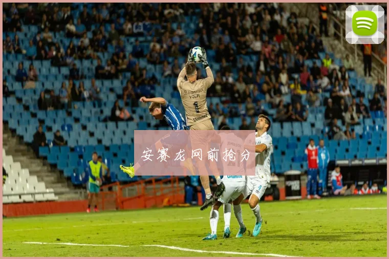 安赛龙网前抢分