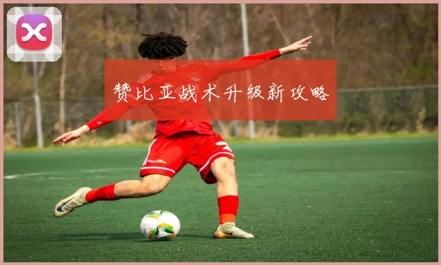 赞比亚战术升级新攻略