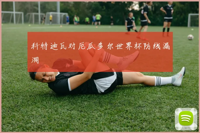 科特迪瓦对厄瓜多尔世界杯防线漏洞