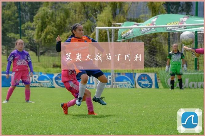 莱奥大战马丁内利