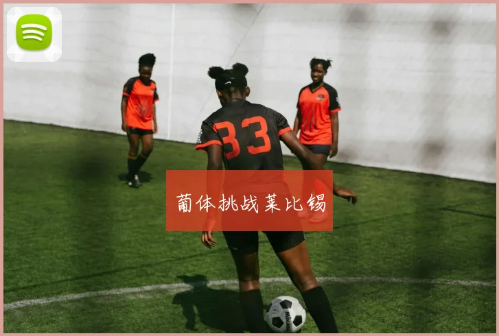 葡体挑战莱比锡