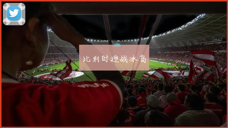 比利时迎战冰岛