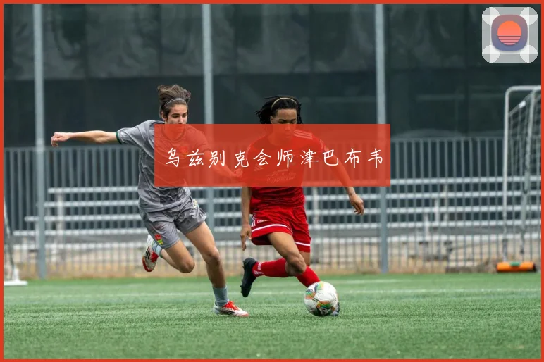 乌兹别克会师津巴布韦