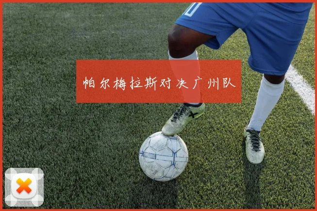 帕尔梅拉斯对决广州队