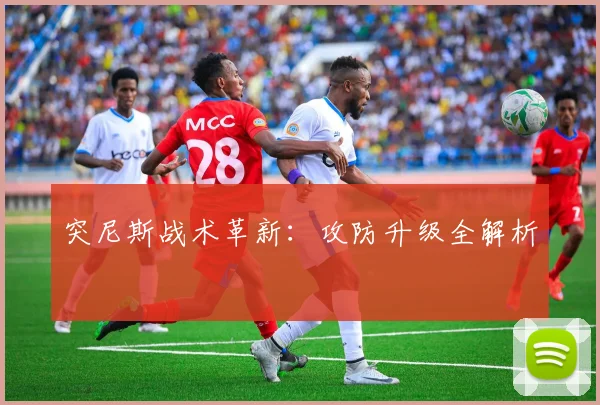 突尼斯战术革新：攻防升级全解析