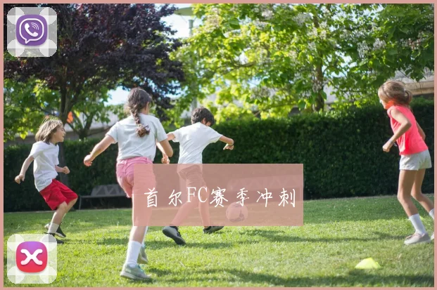 首尔FC赛季冲刺