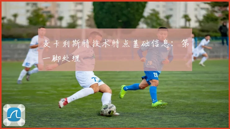 麦卡利斯特技术特点基础信息:第一脚处理