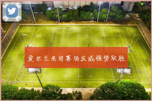 爱尔兰老将赛场发威强势取胜