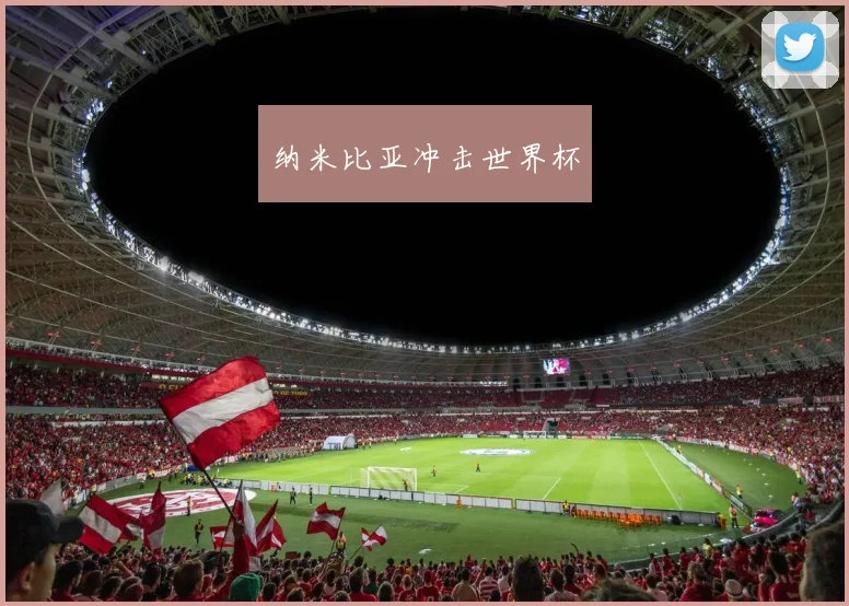 纳米比亚冲击世界杯