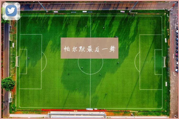 帕尔默最后一舞