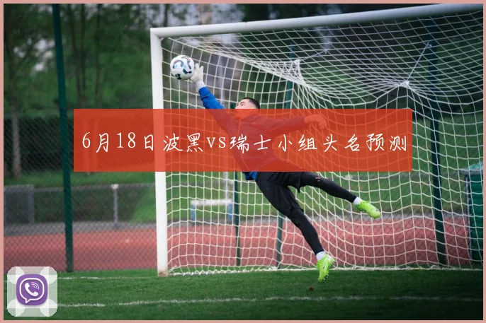 6月18日波黑vs瑞士小组头名预测
