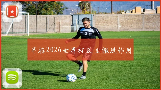 辛格2026世界杯反击推进作用