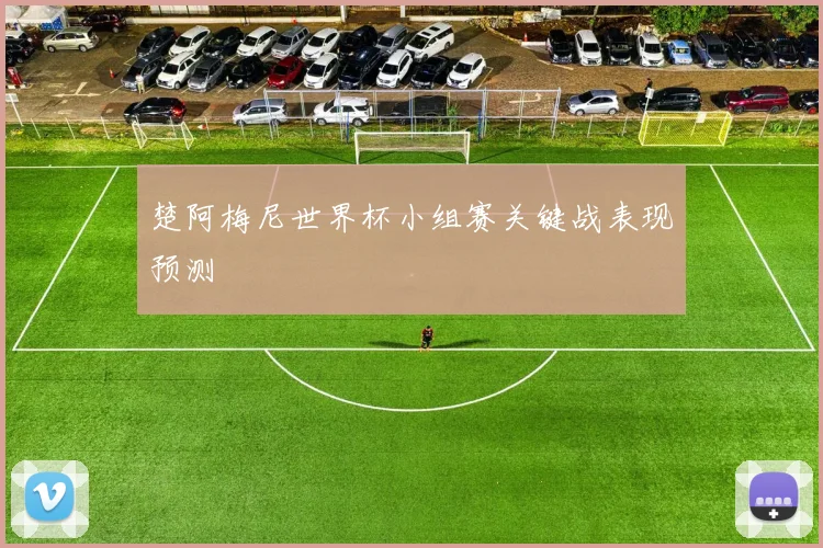 楚阿梅尼世界杯小组赛关键战表现预测