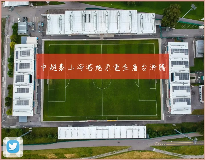 中超泰山海港绝杀重生看台沸腾