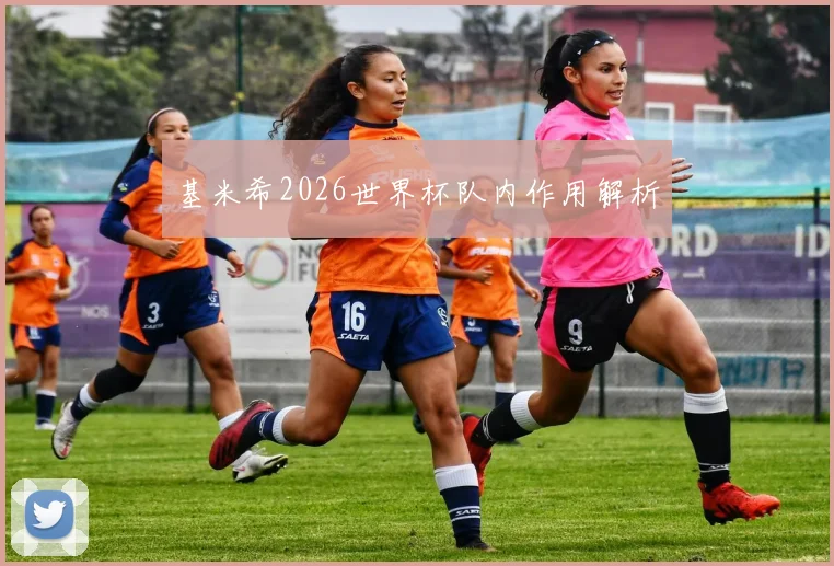 基米希2026世界杯队内作用解析