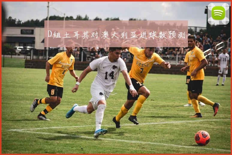 D组土耳其对澳大利亚进球数预测