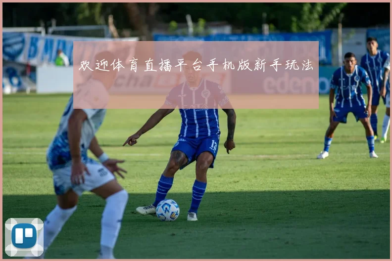 欢迎体育直播平台手机版新手玩法