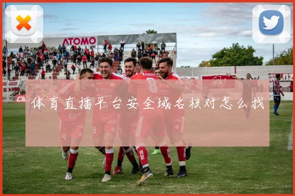 体育直播平台安全域名核对怎么找